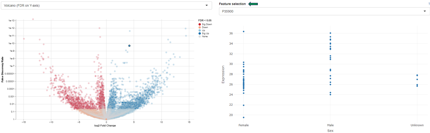 Detailed plot