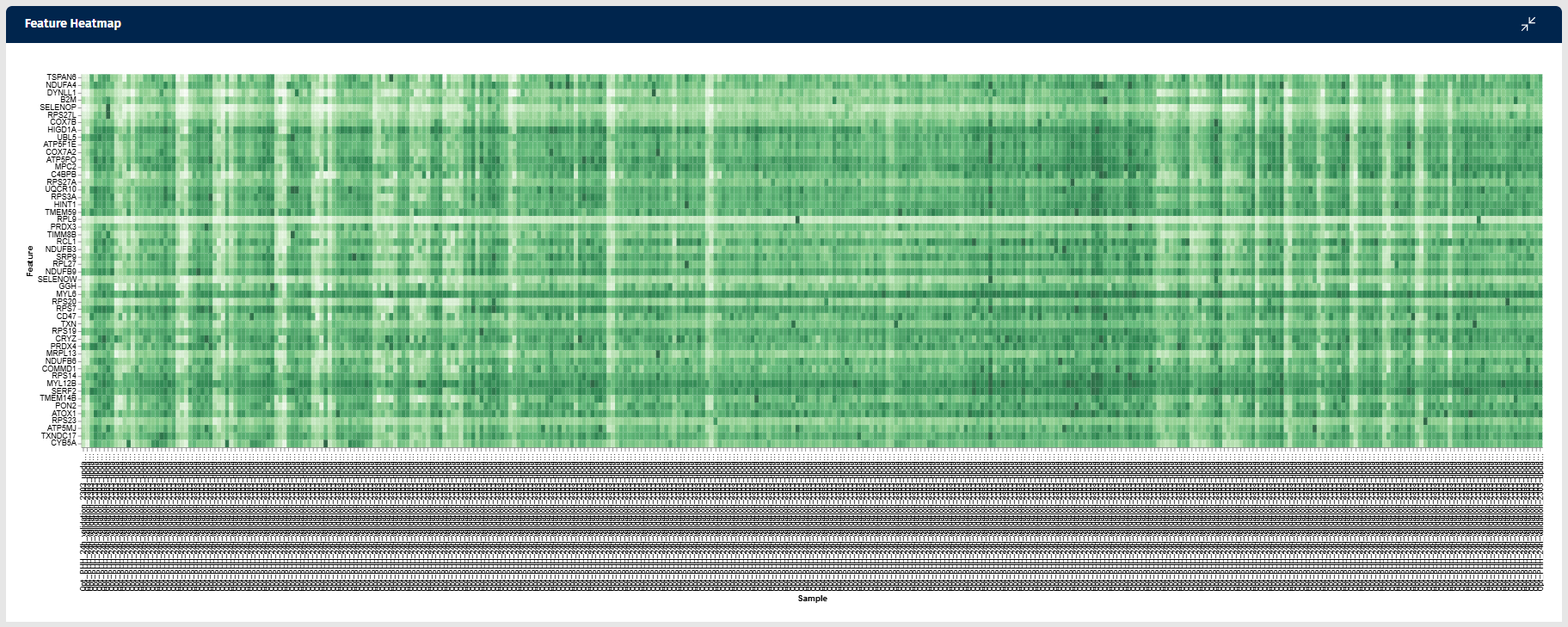 Feature heatmap Feature heatmap