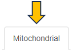 Mitochondrial panel