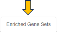 Enriched Gene sets panel