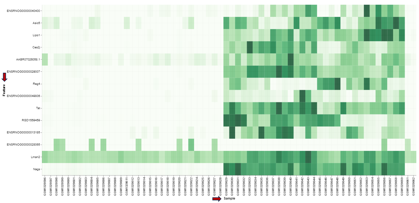 Feature heatmap