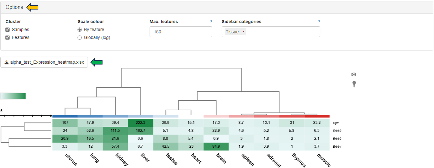 Heatmap Heatmap