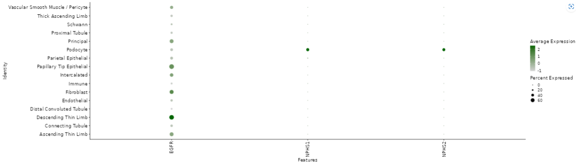 Cluster Gene Comparison plot