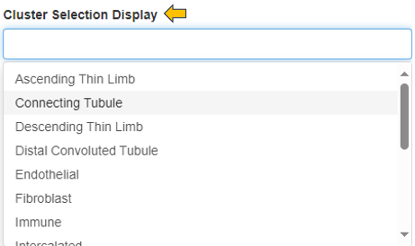 Cluster selection display option