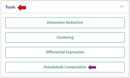 Pseudobulk Computation panel