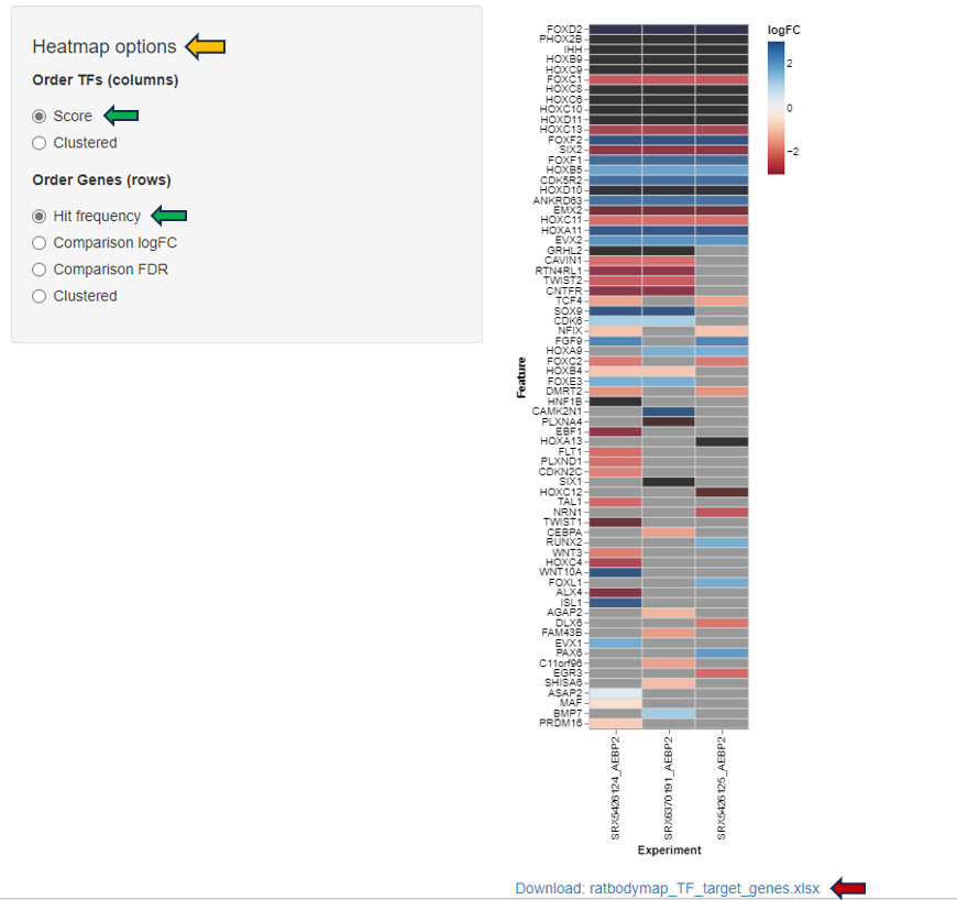 Heatmap of TF AEBP2 (ratbody)