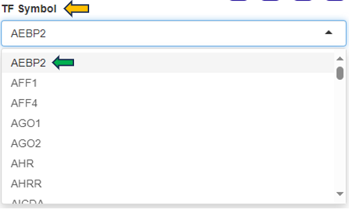 Select TF Symbol
