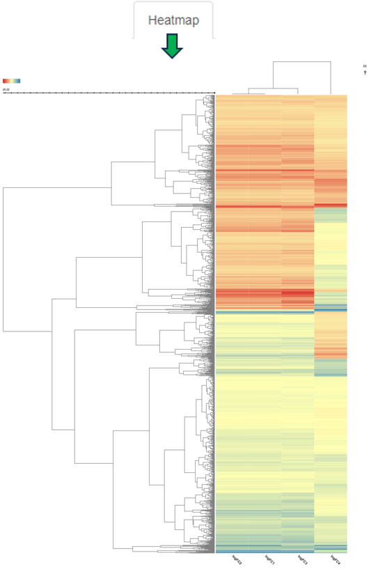 Compare Top Tables Heatmap view