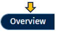 Overview tab