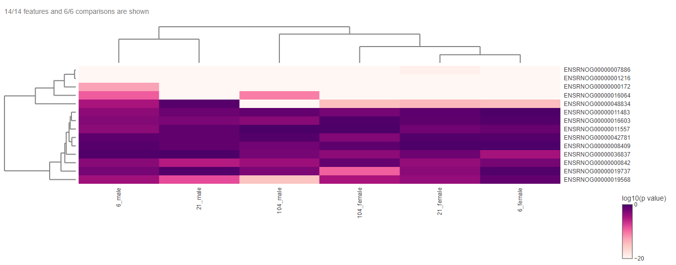 Heatmap