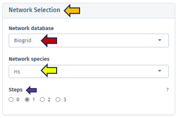 Network selection