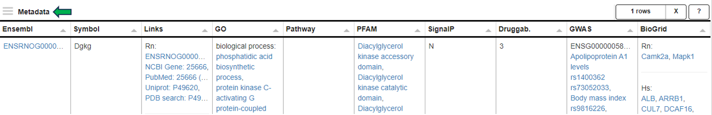 Metadata table Metadata table