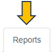 Reports panel Reports panel