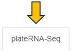 Plate based RNA-Seq tab