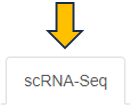 ScRNA-Seq tab