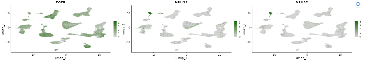 Gene Comparison plot Gene Comparison plot