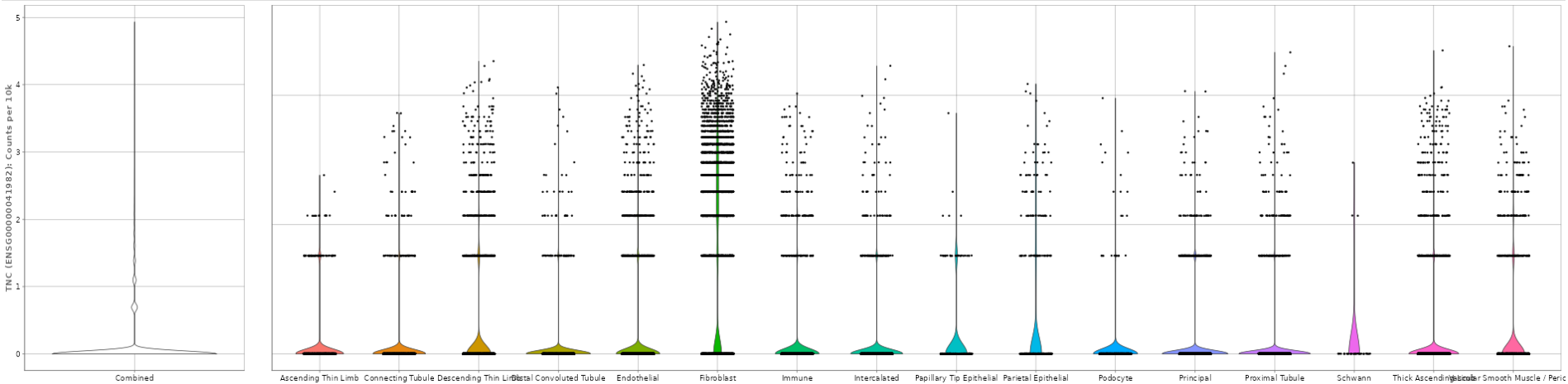 Expression Violin Plot Expression Violin Plot
