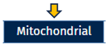 Mitochondrial tab Mitochondrial tab