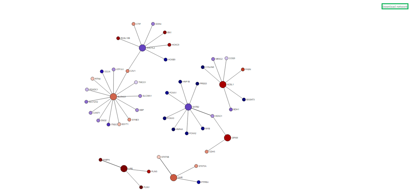 Network representation