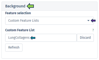Custom feature list option